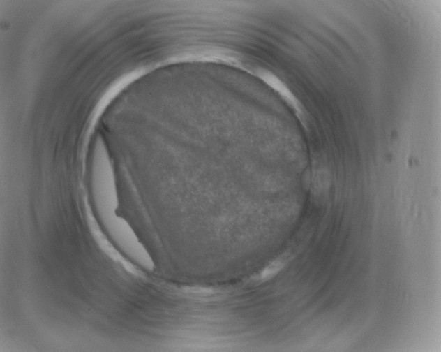 X0000083051088200702231949