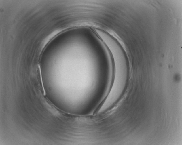 X0000083051089200702231949