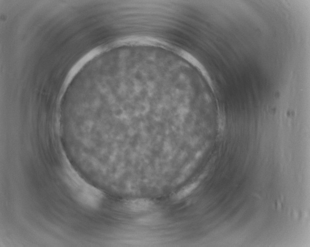 X0000083051090200702231949