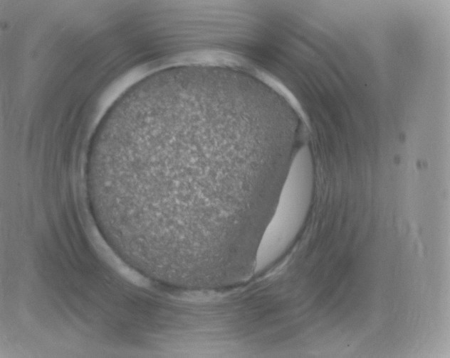 X0000083051091200702231949