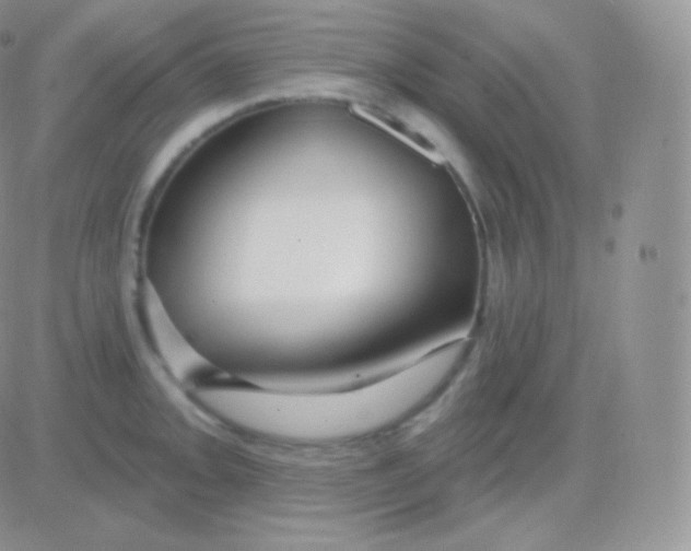 X0000083051093200702231949