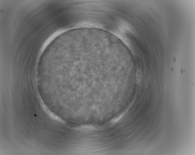 X0000083051094200702231949