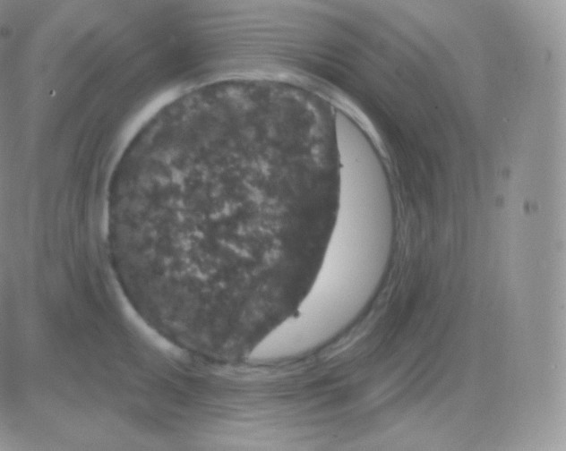 X0000083051095200702231949