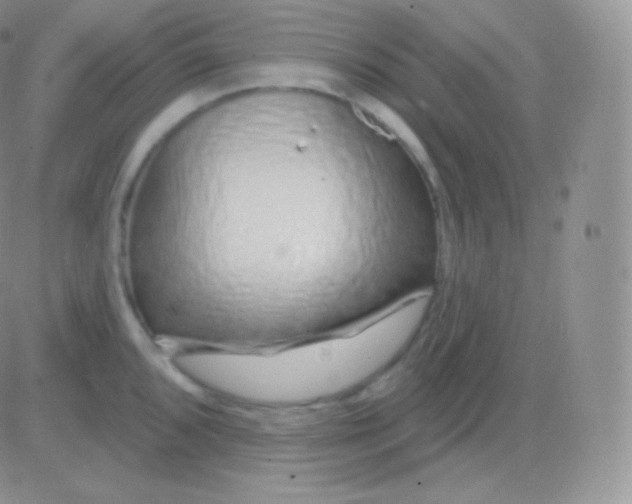 X0000083051096200702231949