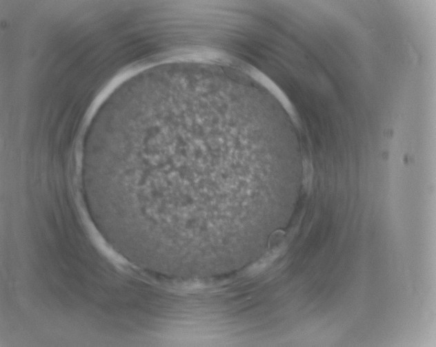 X0000083051099200702231949