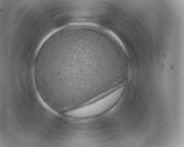 X0000083051100200702231949