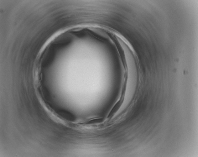 X0000083051101200702231949