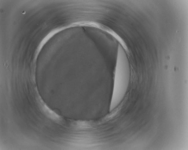 X0000083051102200702231949