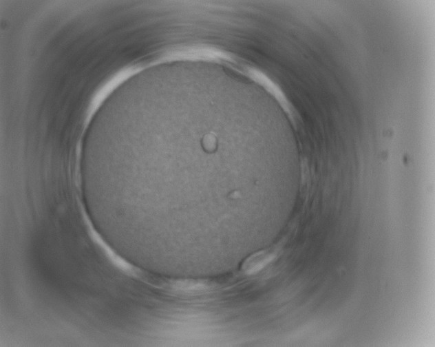 X0000083051103200702231949