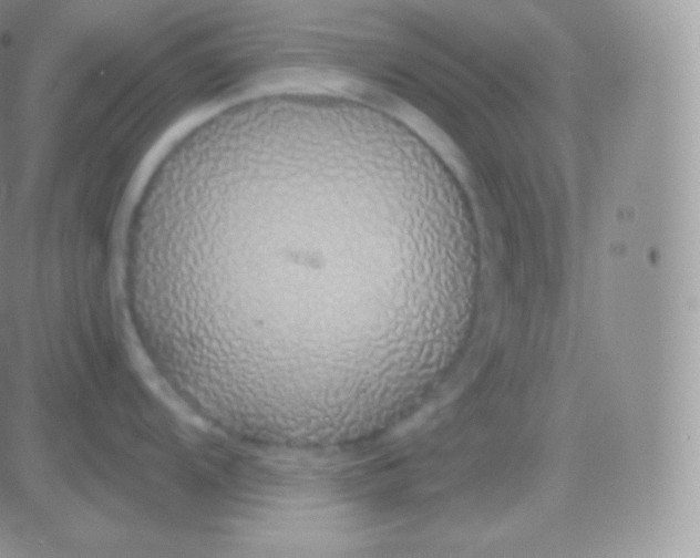 X0000083051104200702231949