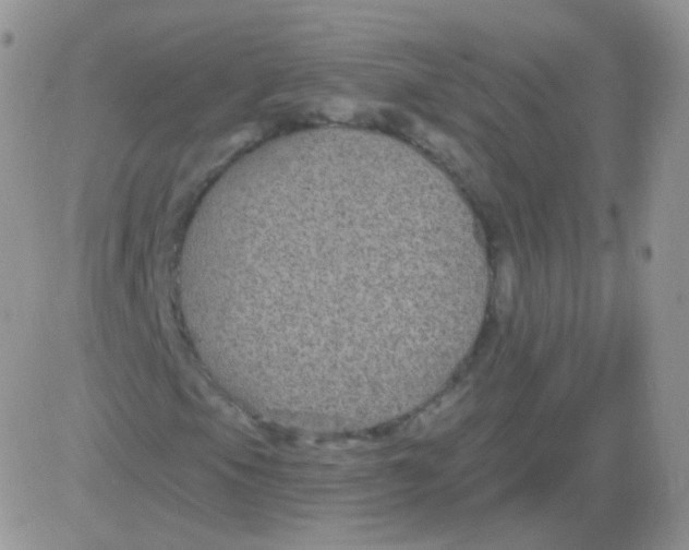 X0000083051105200702231948