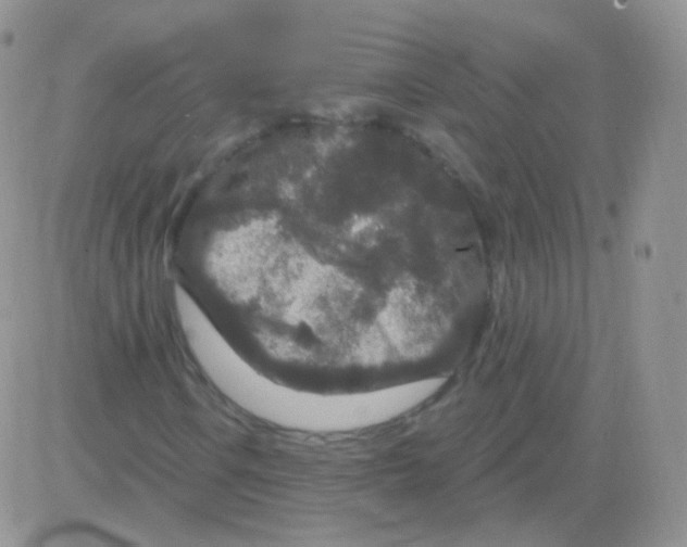 X0000083051106200702231948