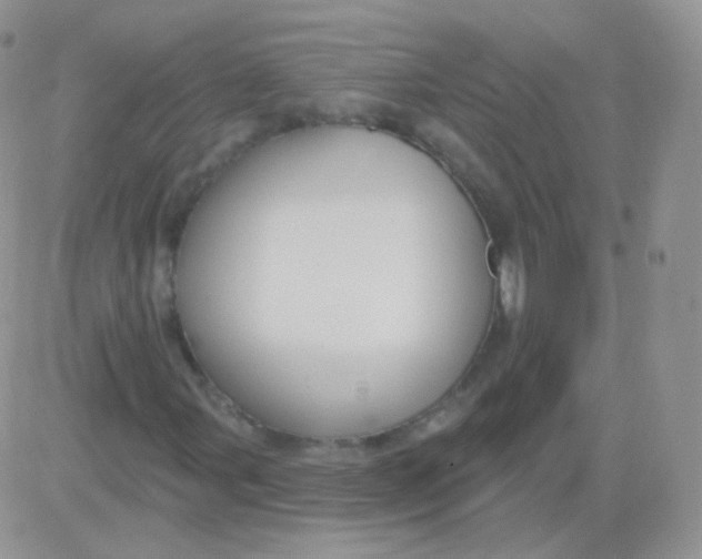 X0000083051107200702231948