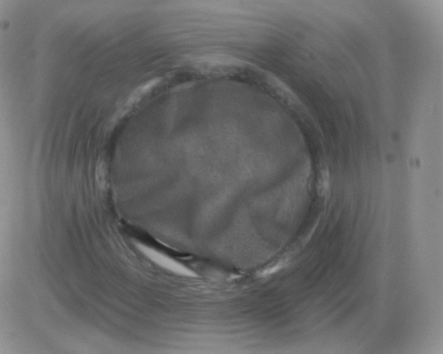 X0000083051108200702231948