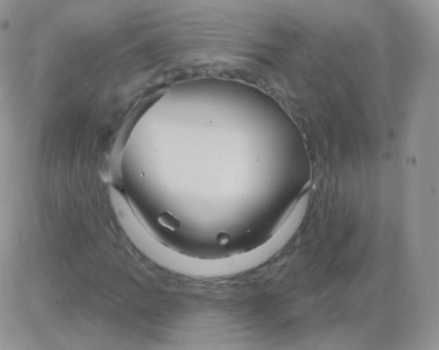 X0000083051109200702231948