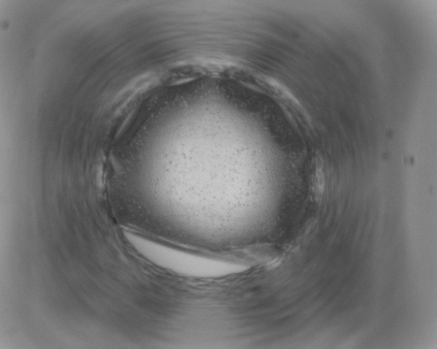 X0000083051110200702231948