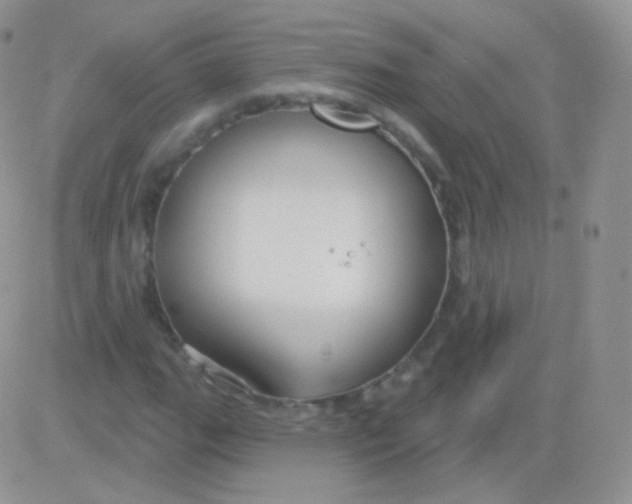 X0000083051111200702231948