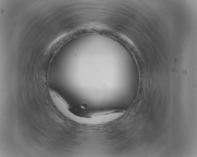 X0000083051112200702231948