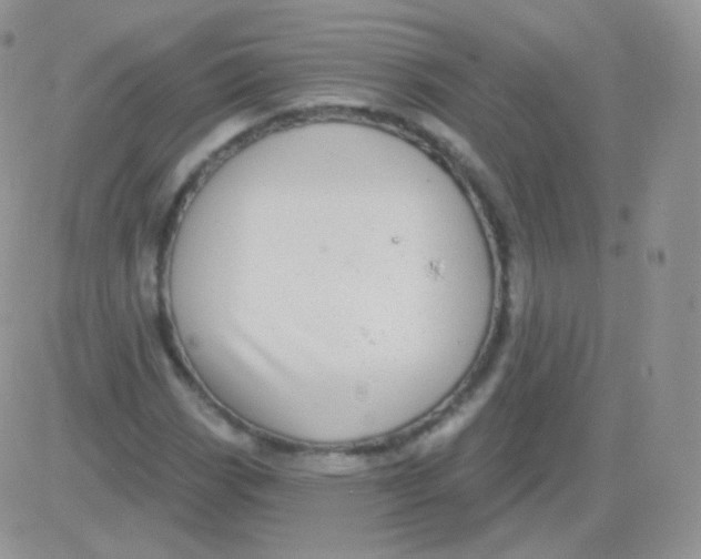 X0000083051113200702231948