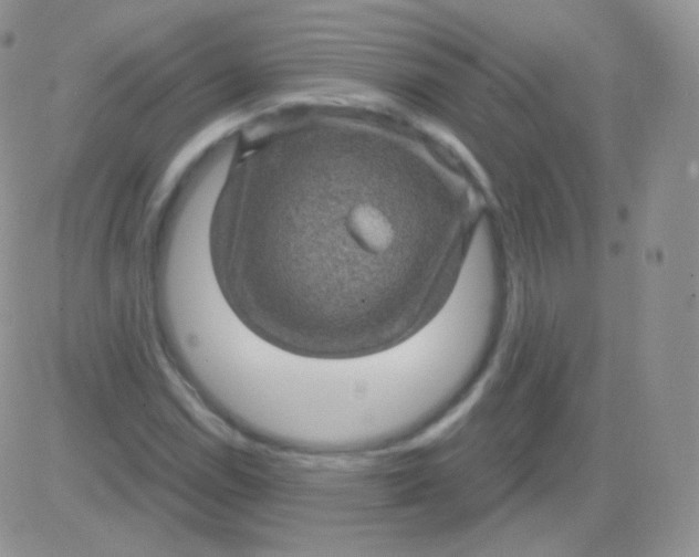 X0000083051114200702231948