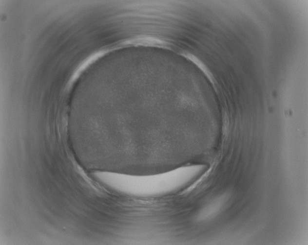 X0000083051115200702231948