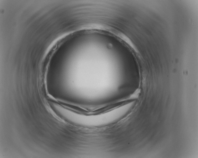 X0000083051116200702231948