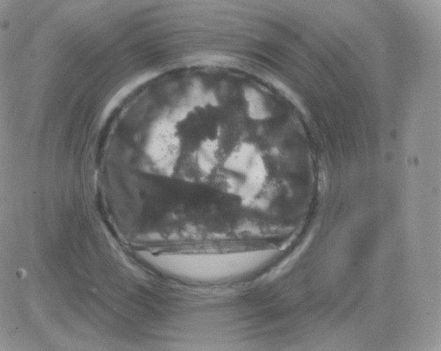 X0000083051117200702231948