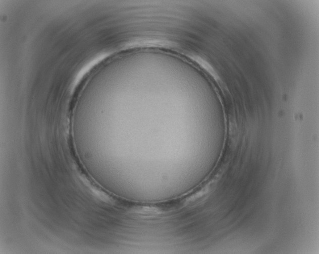 X0000083051119200702231948