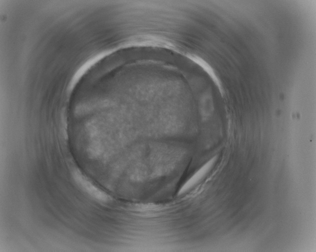 X0000083051120200702231948