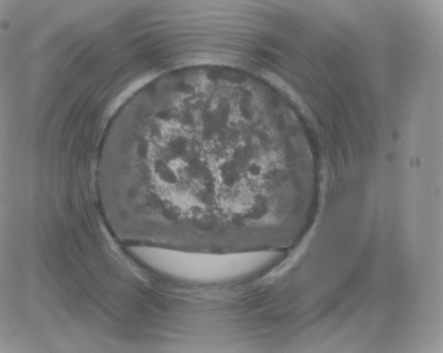 X0000083051121200702231948