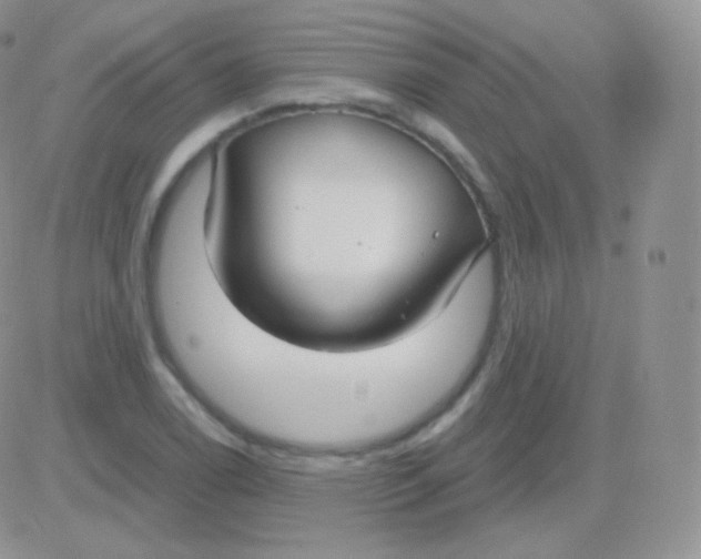 X0000083051122200702231948