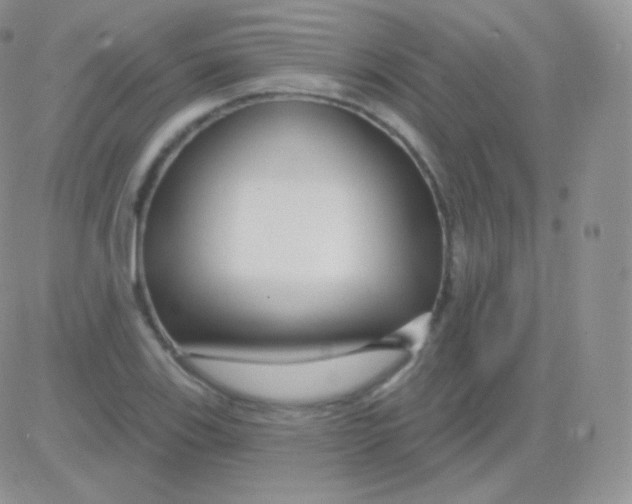 X0000083051123200702231948