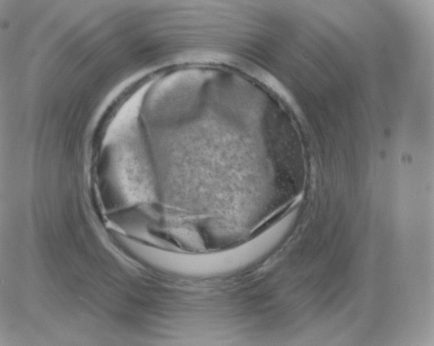 X0000083051124200702231948