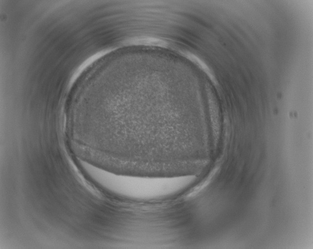 X0000083051125200702231948