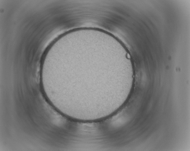 X0000083051126200702231948