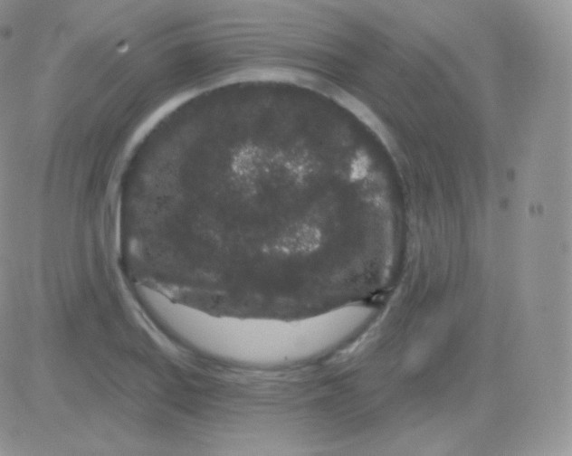 X0000083051127200702231948