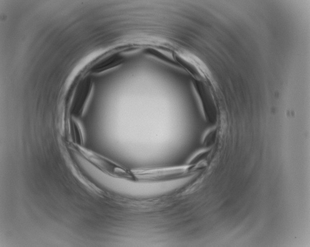 X0000083051128200702231948