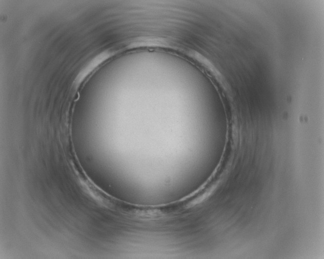 X0000083051129200702231948