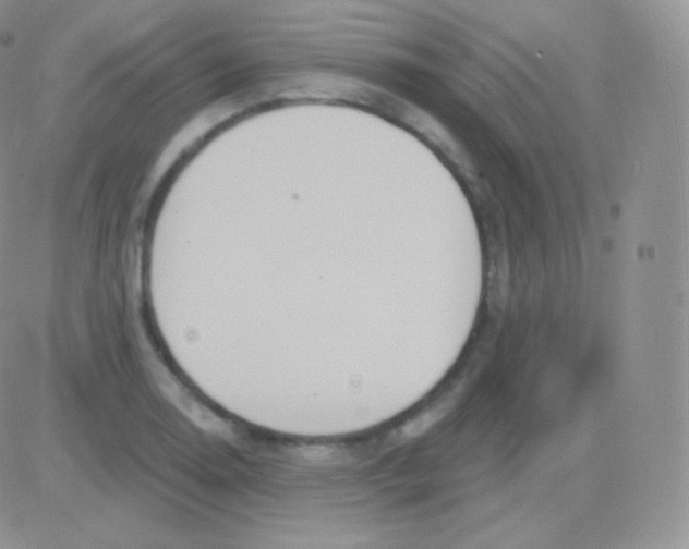 X0000083051130200702231948