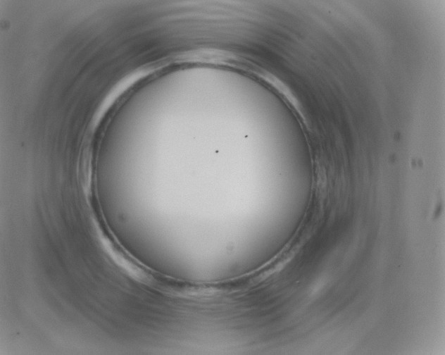 X0000083051131200702231948