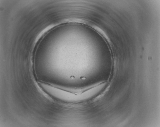 X0000083051133200702231948