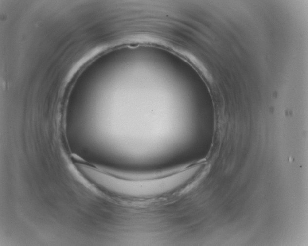 X0000083051134200702231948