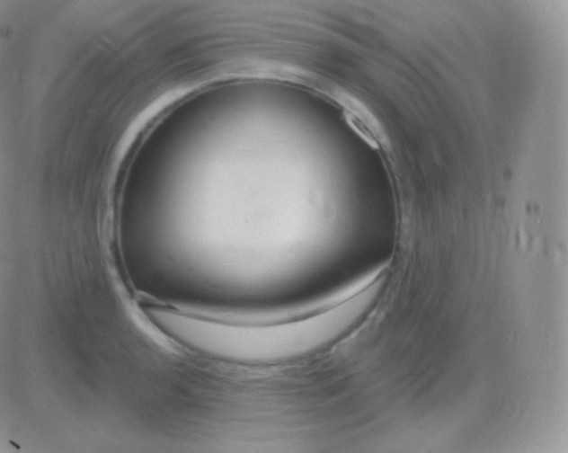 X0000083051136200702231948