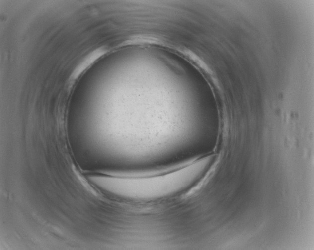 X0000083051137200702231948