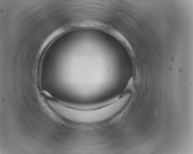 X0000083051138200702231948