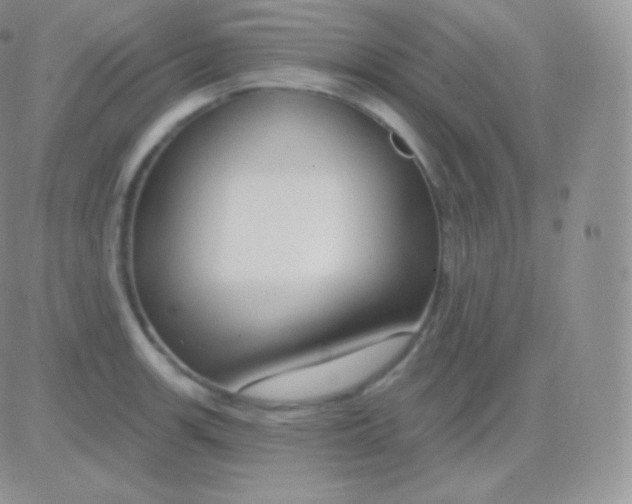 X0000083051139200702231948