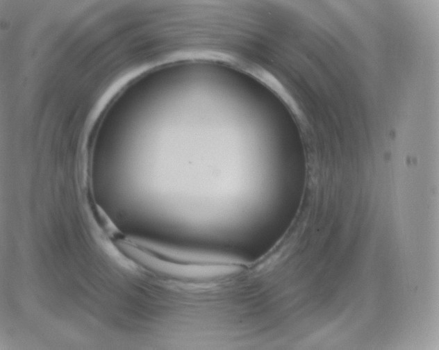 X0000083051140200702231948