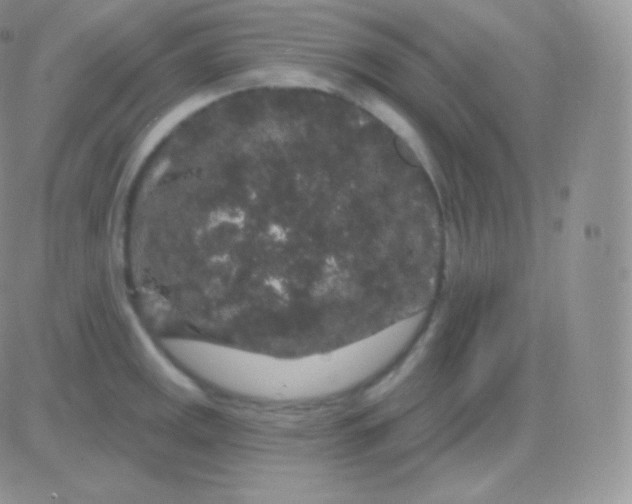 X0000083051141200702231948