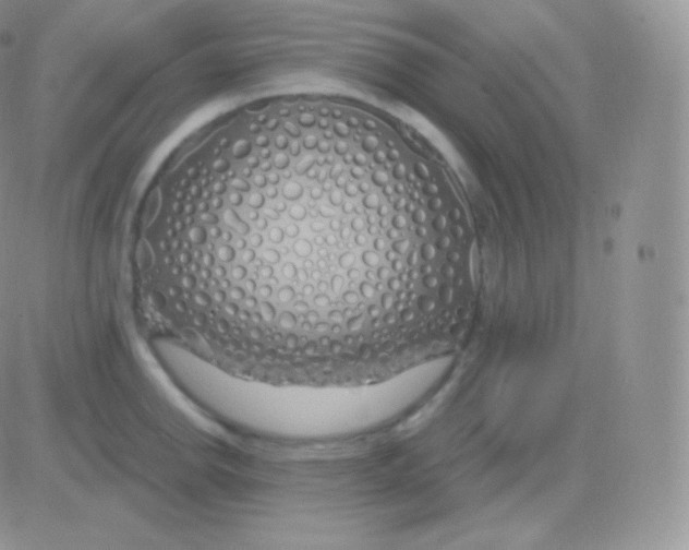 X0000083051142200702231948