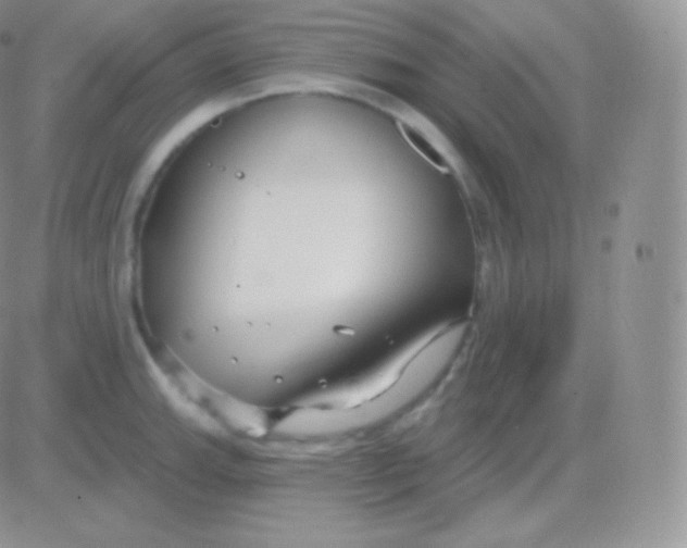 X0000083051143200702231948